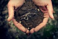 پاورپوینت نقش فناوری های نوین درآلودگی خاک
